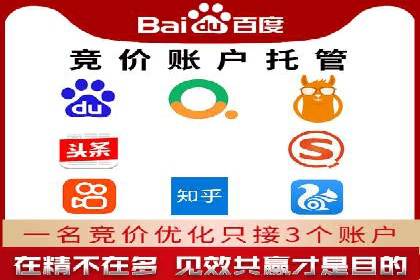 搜索开户返点政策下的成功案例分析